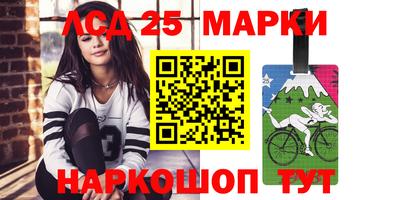шишки Абакан