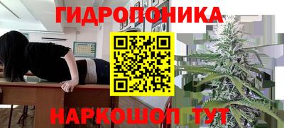шишки Абакан