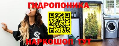 шишки Абакан
