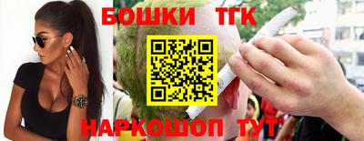шишки Абакан