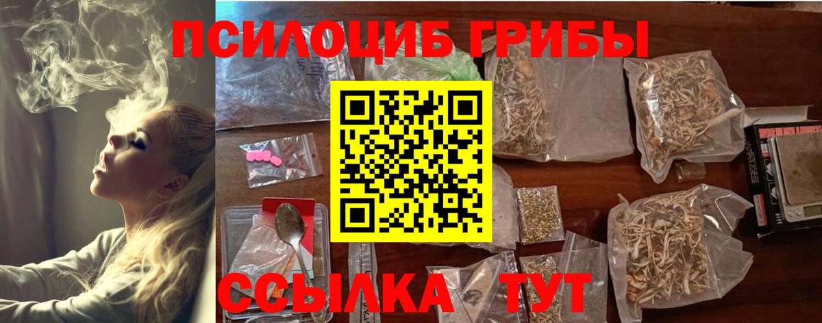 Галлюциногенные грибы Psilocybine cubensis  Вход с VPN  Аргун  Псилоцибиновые грибы мицелий 